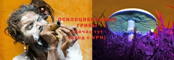 apvp Козельск