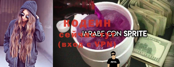 apvp Козельск