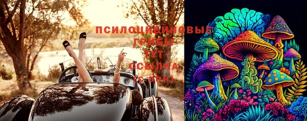 apvp Козельск
