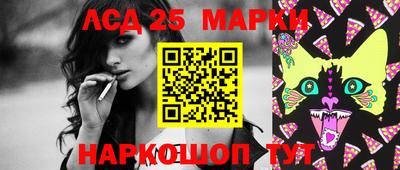 индика Заволжье