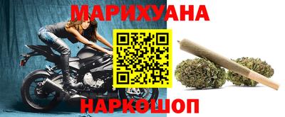 индика Заволжье